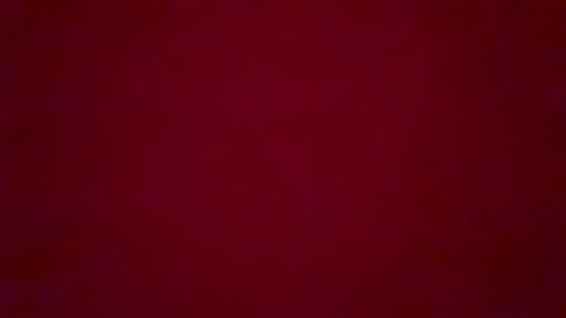 little fox alisa online show from March 2025 09:43:01 PM