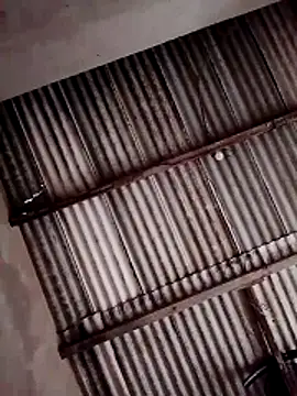 Snapshot of Viny459 chatting on December 2025 08:03:02 PM Viny459 online show from December 2025 08:03:02 PM