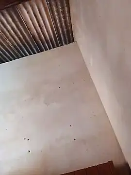 Snapshot of Viny459 chatting on December 2025 11:16:02 AM Viny459 online show from December 2025 11:16:02 AM