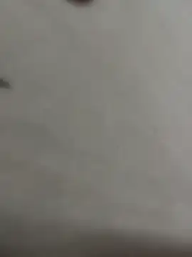 luara1988 online show from April 2026 01:12:02 AM