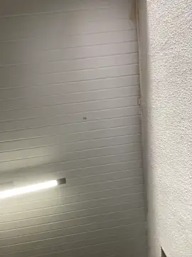 luara1988 online show from October 2025 10:58:02 AM