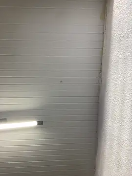 luara1988 online show from September 2025 11:05:01 AM