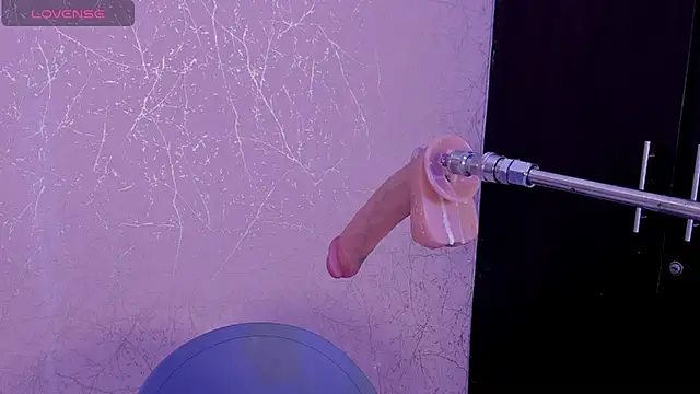 grace-3 online show from March 2026 02:04:02 AM