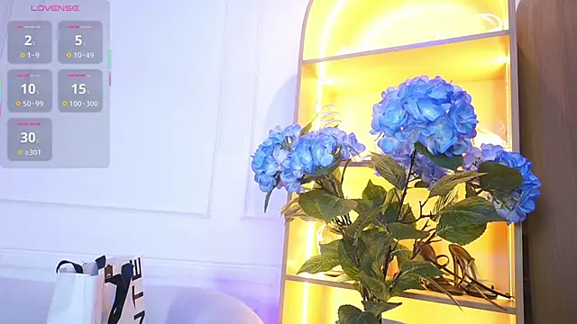 elasummer online show from November 2025 11:54:01 AM