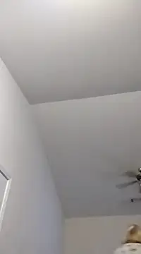 Snapshot of Playmate86 chatting on December 2024 05:32:02 AM Playmate86 online show from December 2024 05:32:02 AM