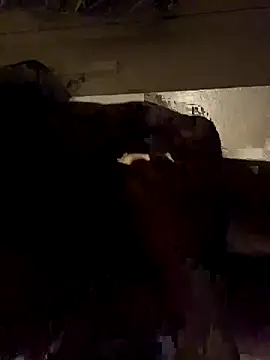 Snapshot of ethergodess9 chatting on November 2025 06:13:01 AM ethergodess9 online show from November 2025 06:13:01 AM