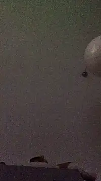 babylonia4sex online show from December 2024 11:43:01 AM