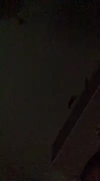 babylonia4sex online show from December 2024 02:50:02 PM