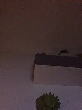 babylonia4sex online show from January 2025 11:13:02 AM