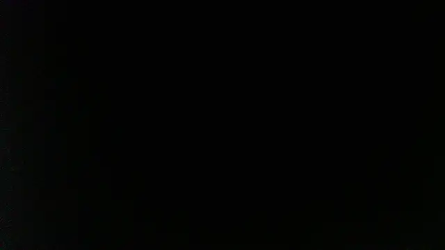        the online show from March 2026 05:17:02 PM