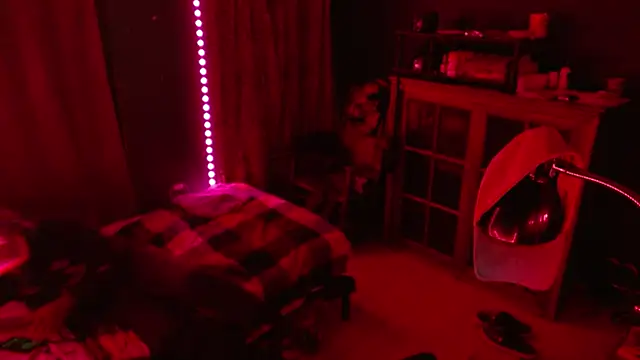        the online show from December 2025 10:20:01 AM