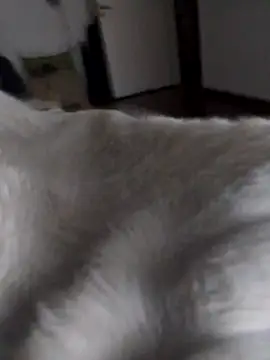 Snapshot of BURN666ING chatting on March 2026 06:50:01 AM BURN666ING online show from March 2026 06:50:01 AM