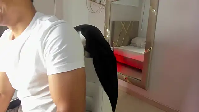 Lucii fer  online show from December 2025 11:44:02 AM