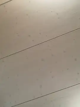 Snapshot of bonbonaumiel chatting on January 2025 01:15:01 PM bonbonaumiel online show from January 2025 01:15:01 PM