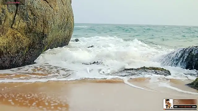 sex in paradise  online show from October 2025 12:34:02 AM