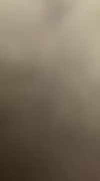 satrr xxx online show from December 2024 07:42:02 AM