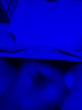 satrr xxx online show from October 2025 01:51:02 AM