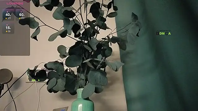 Snapshot of Your_dream_Alice chatting on February 2025 07:49:01 PM Your dream Alice online show from February 2025 07:49:01 PM