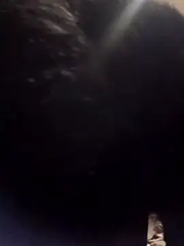 Beyond1978 online show from February 2026 04:03:02 PM