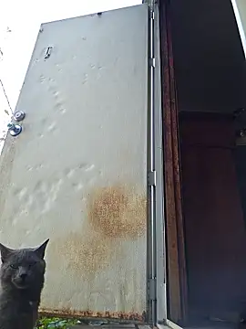 Beyond1978 online show from November 2025 04:33:01 PM