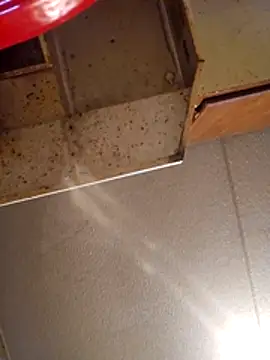 Beyond1978 online show from November 2025 08:35:02 PM