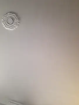 dragon1006 online show from November 2025 10:19:01 PM