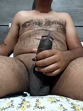 Jornaodaputaria online show from November 2025 06:11:01 PM