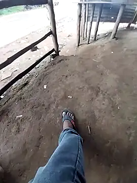 sudhastriper online show from September 2025 07:30:02 AM