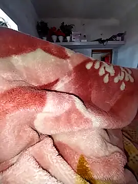 sudhastriper online show from February 2026 06:13:01 AM