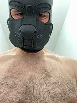 FrenchCamDog online show from April 2026 02:29:02 PM