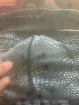 solomec online show from October 2025 07:43:01 AM