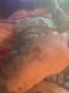 solomec online show from September 2025 05:45:02 AM