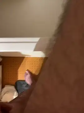 solomec online show from February 2025 09:48:01 AM