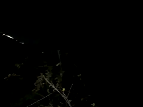 Backshort11 online show from November 2025 03:21:01 AM