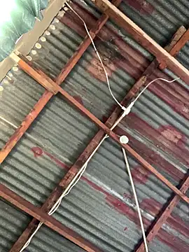 SEXY TOKYOxxx online show from December 2025 05:57:02 AM