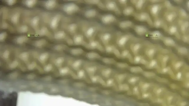 Alysta online show from October 2025 07:55:02 PM