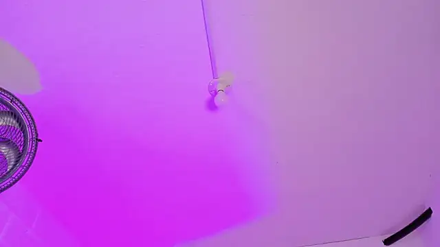 EmmaBecket2 online show from November 2025 04:40:02 AM