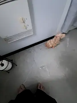 CrookedMisterniceguy online show from May 2026 11:21:02 AM