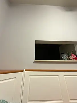 IvanaPlenty online show from February 2026 11:21:02 AM