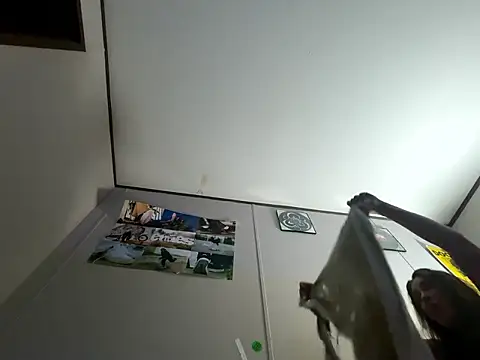 IvanaPlenty online show from February 2026 12:51:02 PM