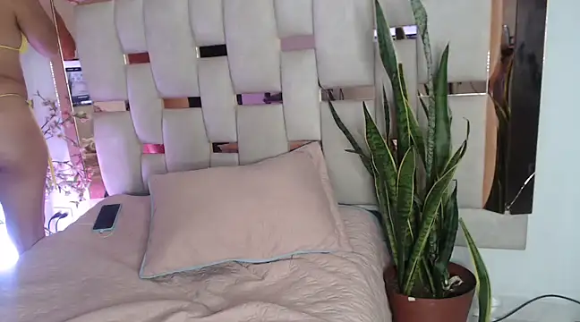 Snapshot of sophii12-12 chatting on December 2024 01:03:02 AM sophii12-12 online show from December 2024 01:03:02 AM