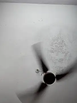 sana14 online show from March 2026 06:22:01 PM