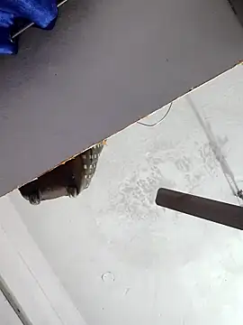 sana14 online show from December 2025 10:48:01 PM