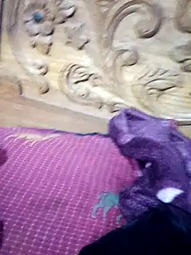 sana14 online show from March 2026 03:16:01 PM