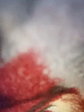 sana14 online show from December 2025 10:34:01 PM