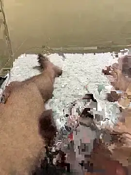 cum4mheaven online show from March 2026 06:48:02 AM