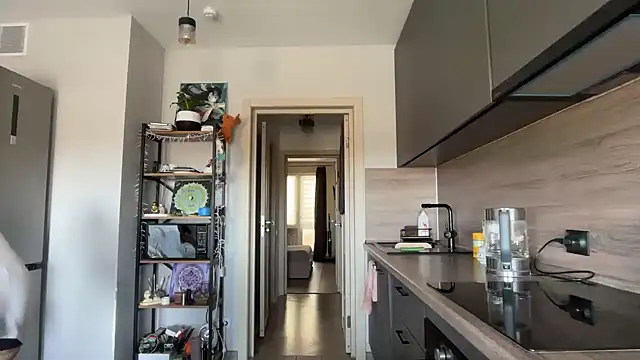 jainesummer online show from April 2026 09:22:01 AM