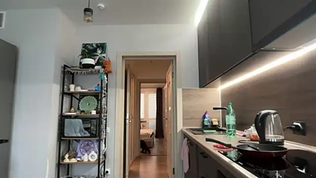 jainesummer online show from December 2025 08:46:02 AM