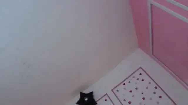 stephania t online show from January 2026 12:33:01 PM