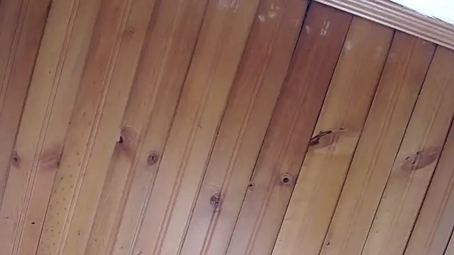 julz 03 online show from October 2025 12:03:01 PM